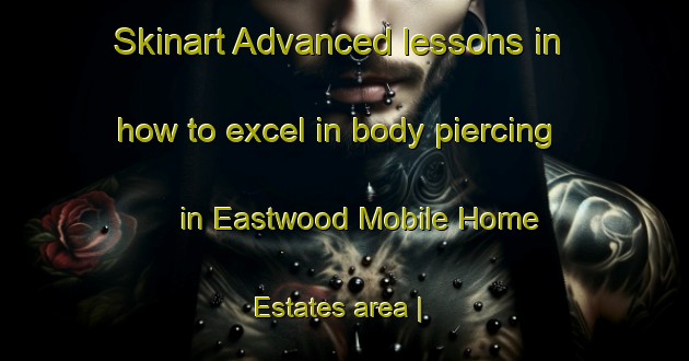 Skinart Advanced lessons in how to excel in body piercing in Eastwood Mobile Home Estates area | PiercingTraining | PiercingClasses | SkinartTraining-United States